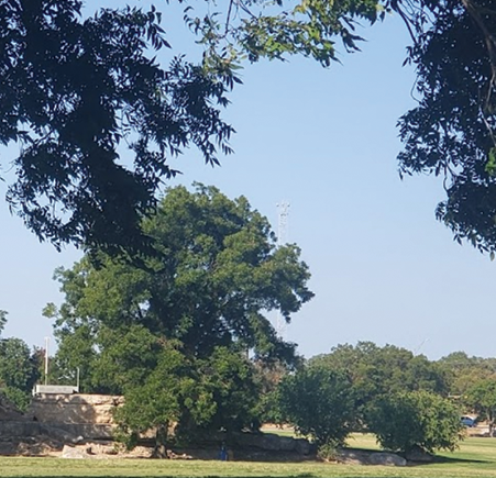 Zilker Park